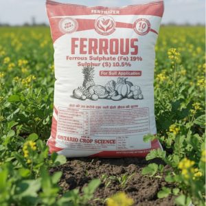 Ferrous Sulphate 19% – Soil Application Micronutrient (With 10.5% Sulphur)