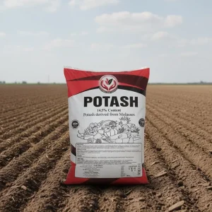 Potash